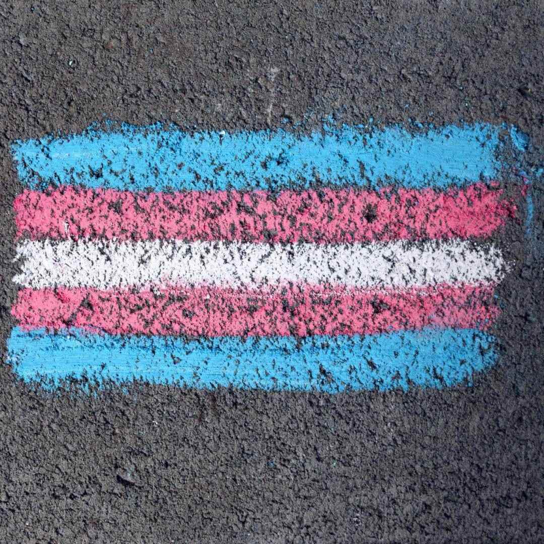 남자인지 여자인지 그걸 누가 결정하는데?