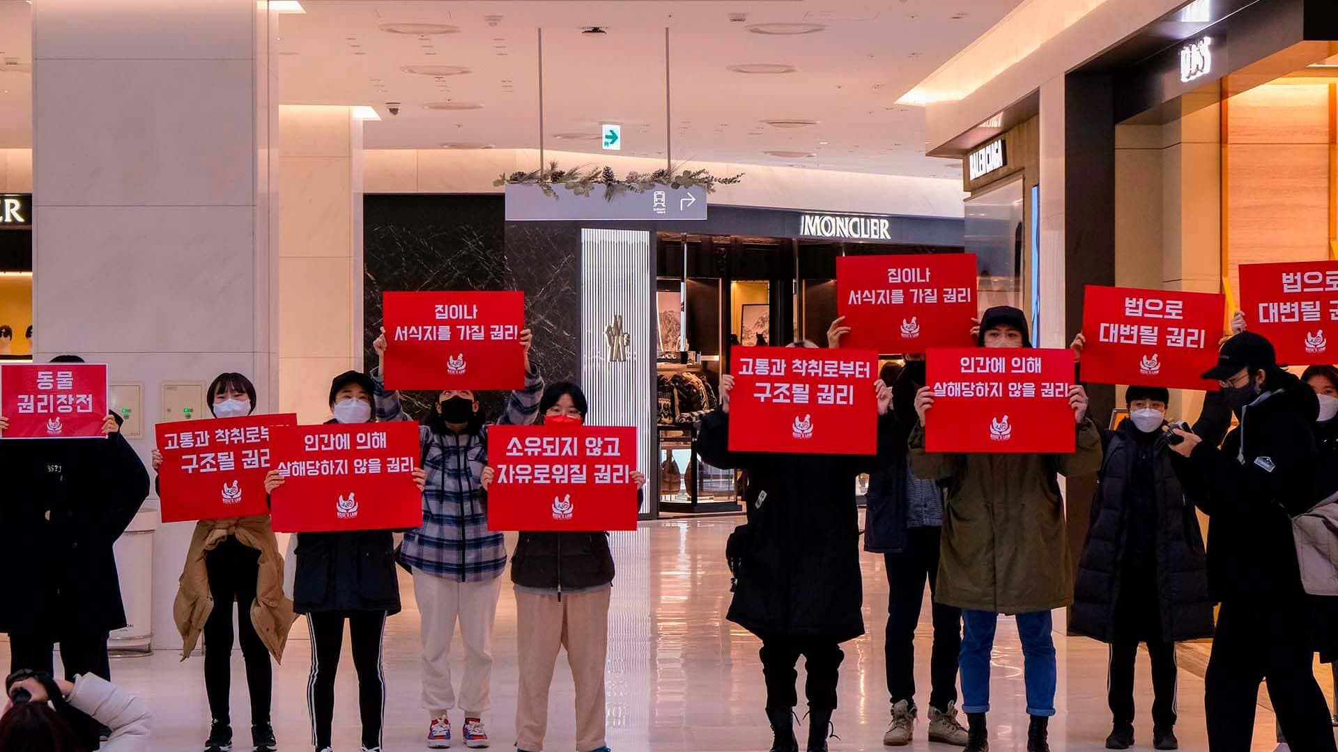 2021년 12월 6일 월요일 오후 두 시, 여의도 더현대서울에서 열린 비폭력 시위 현장. 백화점 한복판에서 직접행동 DxE의 활동가들이 '인간에 의해 살해당하지 않을 권리' '고통과 착취로부터 구조될 권리' '집이나 서식지를 가질 권리' 등 동물 해방 메시지를 쓴 피켓을 들고 구호를 외치고 있다. 현장 사진 제공 이범학.
