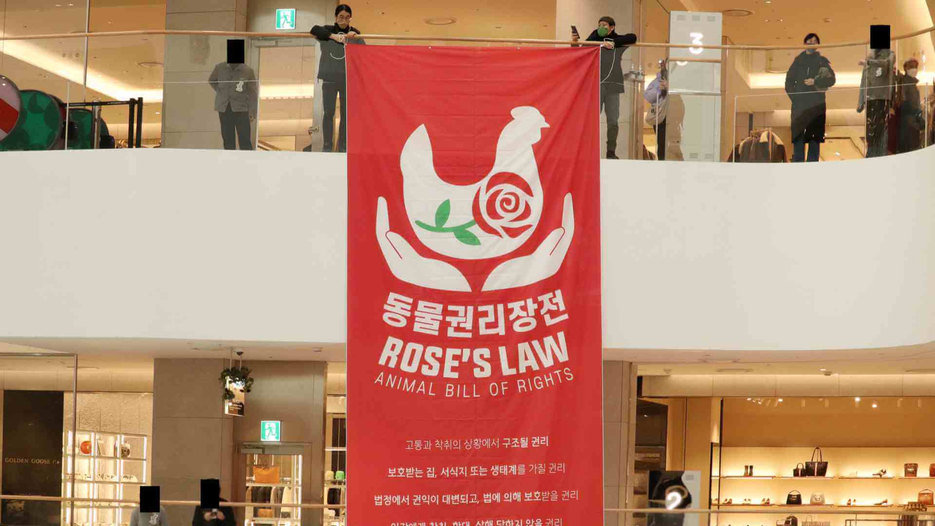 2021년 12월 6일 월요일 오후 두 시, 여의도 더현대서울에서 열린 비폭력 시위 현장. 백화점 3층 높이에서 직접행동 DxE의 활동가들이 '동물권리장전'을 요구하는 현수막을 내걸었다. 현장 사진 제공 DxE.