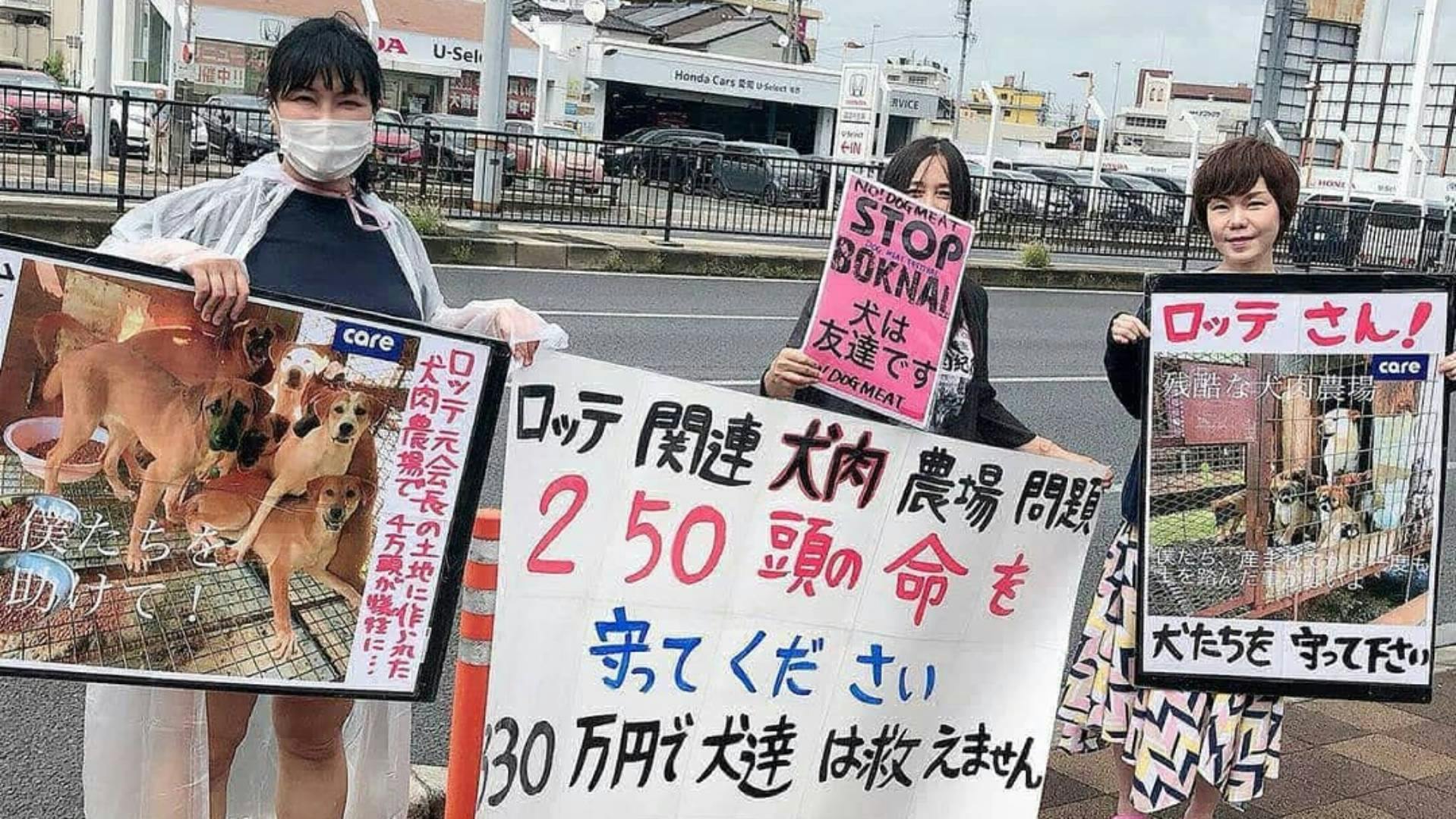 일본인 동물 활동가가 시내에서 기업 롯데에게 이 개 농장 운영의 책임을 묻는 시위를 하고 있다. 사진 제공 롯데목장 개 살리기 시민모임.